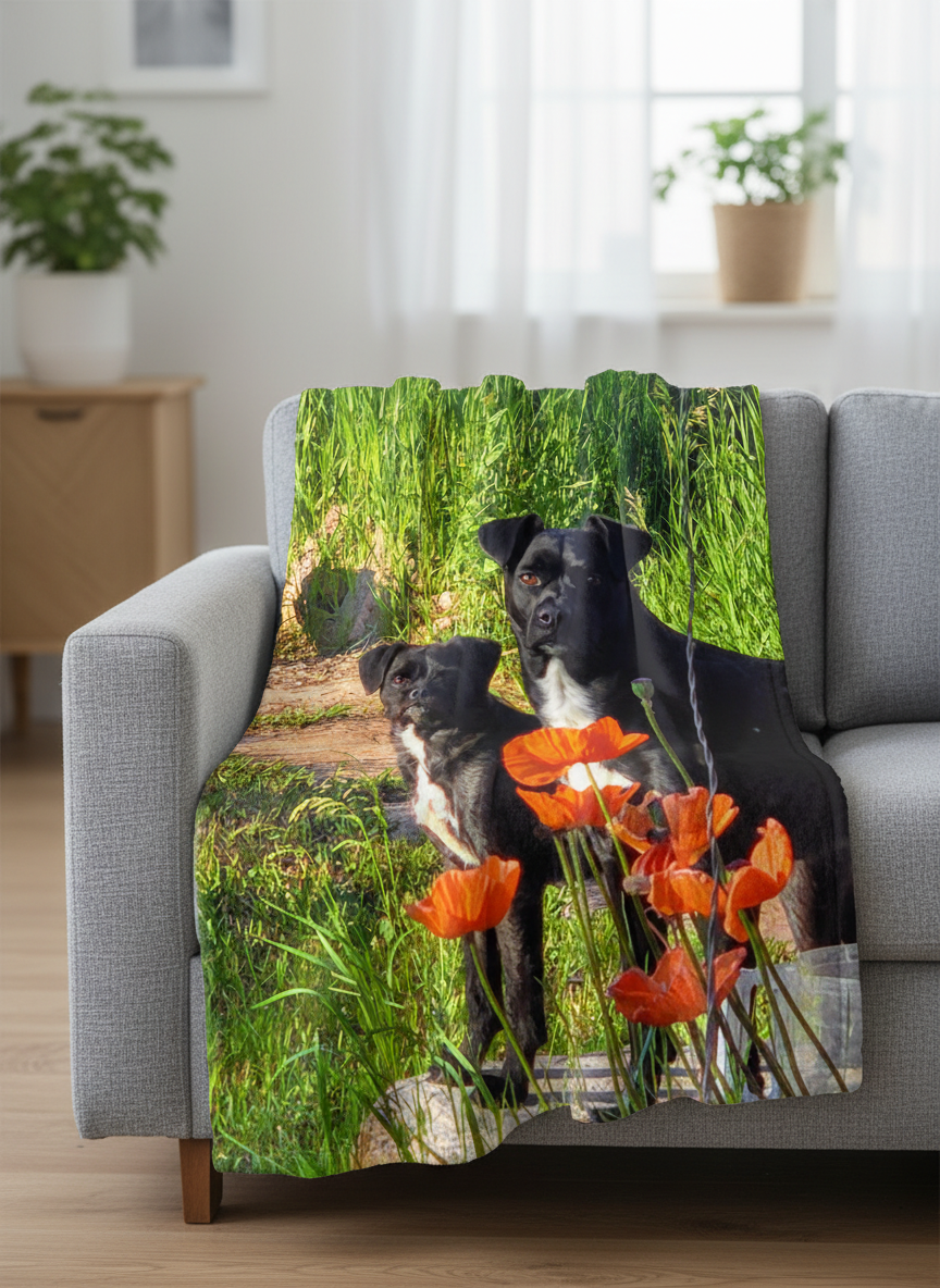 Custom Blanket